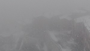 Neve Albidona