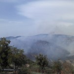 Emergenza incendi sull’Alto Jonio: è disastro ad Albidona (cs).
